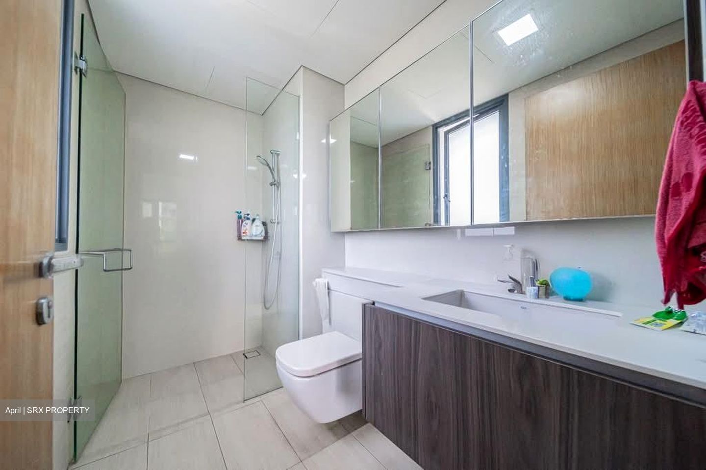 Lakeville (D22), Condominium #594474651